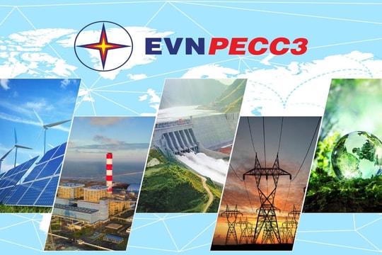 EVNPECC3 (TV3) có biến động nhân sự sau tin Chủ tịch HĐQT và Tổng Giám đốc bị khởi tố