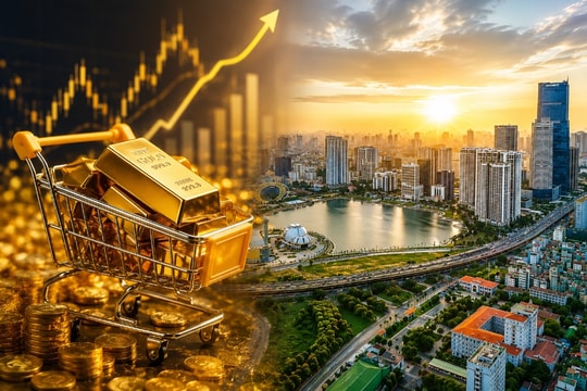 Công ty chứng khoán nói gì về cơ hội đầu tư vào vàng và triển vọng của thị trường bất động sản thời gian tới?