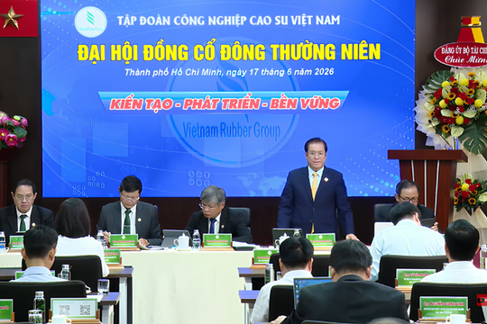 GVR lộ diện động lực tăng trưởng mới, nhắm thêm 7.000ha đất tại TP. HCM