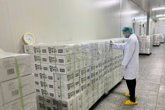 Một loại sản phẩm ăn liền của Việt Nam lần đầu tiên được xuất khẩu sang Nhật Bản