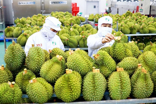 MBS dự báo Việt Nam có thể nhập siêu 5-7 tỷ USD trong năm 2026
