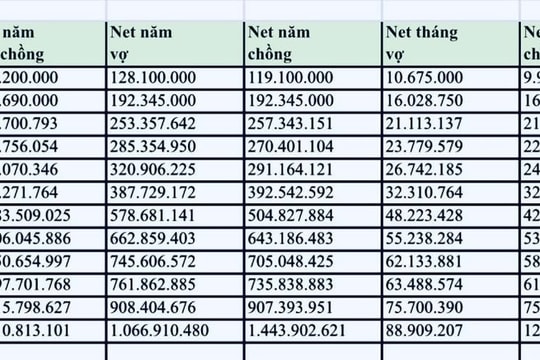 Từ mức lương 10 triệu đồng, cặp vợ chồng 9X chia sẻ hành trình chạm mốc thu nhập tiền tỷ