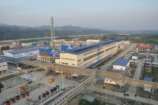 Công ty quản lý mỏ đất hiếm lớn nhất Việt Nam chốt lịch trả cổ tức tỷ lệ hơn 90%