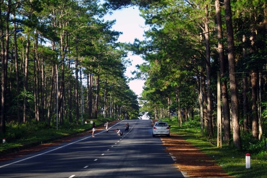 Vùng đất hoang sơ được ví như 'Đà Lạt thứ hai' của đại ngàn Tây Nguyên: Nằm ở độ cao 1.200m, nhiệt độ chỉ khoảng 25 độ C