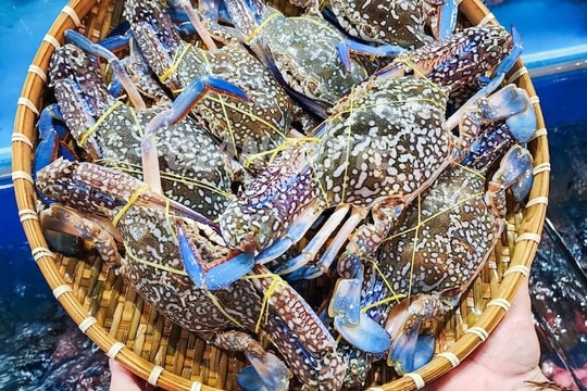 Một mặt hàng thủy sản của Việt Nam bất ngờ 'cháy hàng' tại Mỹ