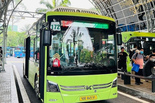 Từ 1/7: Toàn bộ các tuyến xe buýt nội tỉnh tại TP.HCM được miễn phí, trừ một tuyến đặc biệt