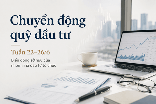 Chuyển động quỹ đầu tư tuần 22–26/6: Nhóm PVI AM thành cổ đông lớn KBC, MB Capital rời TLI