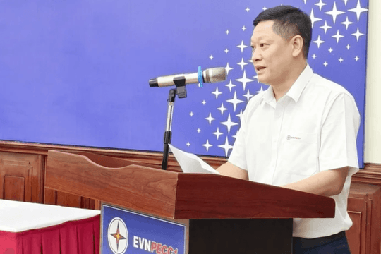 Big4 đồng loạt từ chối kiểm toán doanh nghiệp điện nghìn tỷ sau khi Chủ tịch bị khởi tố
