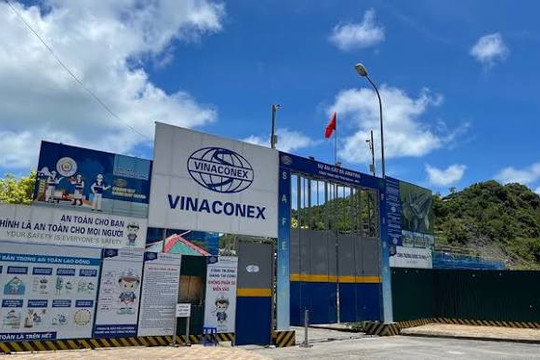 Cổ đông Vinaconex (VCG) sắp nhận hơn 517 tỷ đồng tiền cổ tức