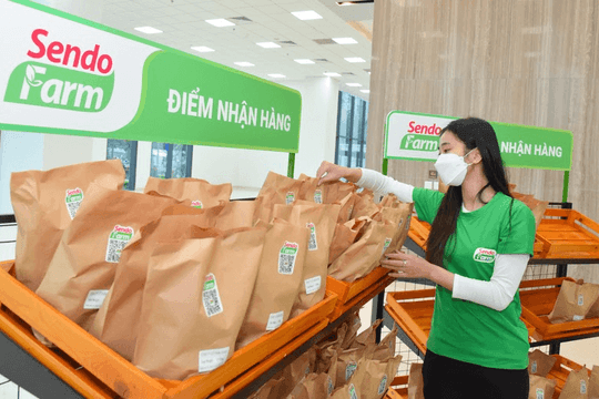 Sen Đỏ thông báo chấm dứt vận hành Sendo Farm từ ngày 10/7