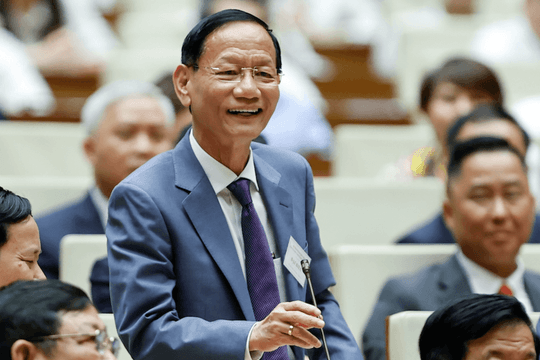 Đại gia Vũ Văn Tiền vừa tuyên bố làm cảng tầm cỡ quốc tế, liên danh Geleximco được giao hơn 100ha đất