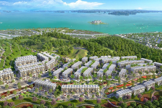 Chủ đầu tư dự án Hạ Long Star quy mô 9.350 tỷ nợ thuế hơn 624 tỷ đồng