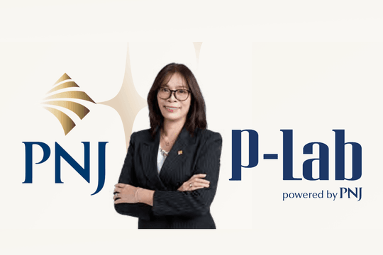Giám đốc PNJLAB Đặng Ngọc Thảo vừa bị bắt trong vụ buôn lậu 28.000 viên kim cương: Chị gái là thành viên HĐQT PNJ có khối tài sản trăm tỷ
