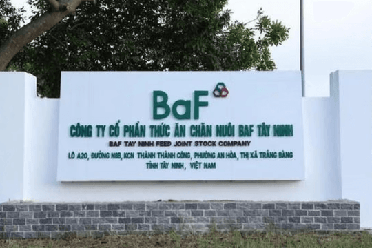 Nông nghiệp BAF nghiên cứu hai dự án hơn 3.300 tỷ tại tỉnh miền Trung