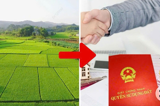 Tin vui cho người có đất vườn: Chuyển một phần sang đất ở, nhiều trường hợp không cần tách thửa