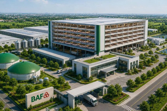 Sau Hà Nội, BAF đề xuất đầu tư tổ hợp chăn nuôi lợn công nghệ cao rộng hơn 200ha tại tỉnh nhỏ nhất Việt Nam