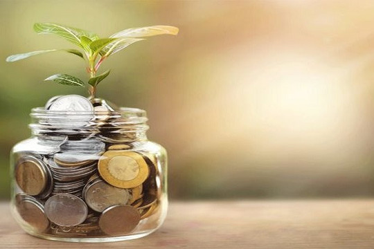 Một doanh nghiệp bán lẻ trả cổ tức tỷ lệ 30% sau năm lãi cao nhất lịch sử
