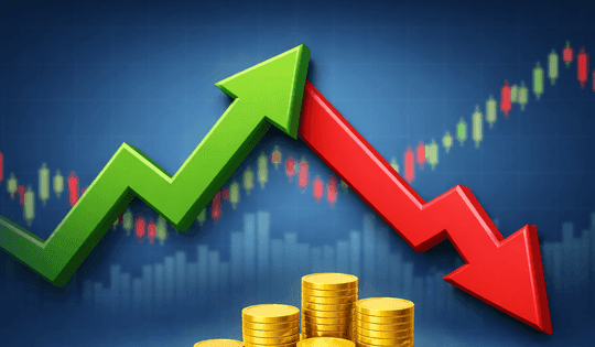 Bất ngờ báo lãi nghìn tỷ, một doanh nghiệp cảng biển chia thưởng tỷ lệ 66,66%