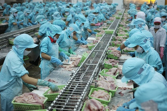 Lương 50 triệu đồng/tháng vẫn không có người làm, doanh nghiệp bất lực vì thiếu lao động