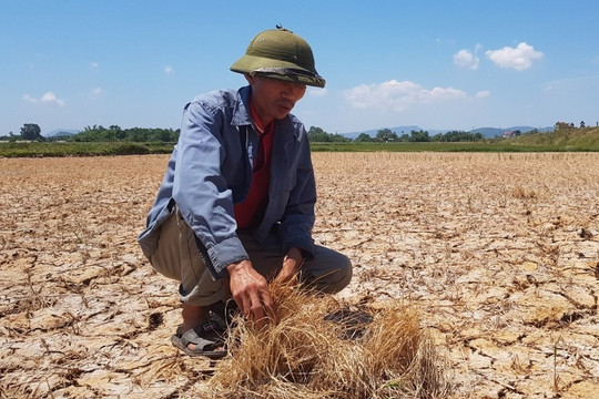 Gần 99% nguy cơ xảy ra 'siêu El Nino', chuyên gia cảnh báo điều đáng lo với Việt Nam