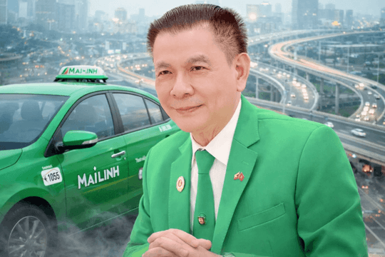 Gần hai thập kỷ khó khăn của Mai Linh: Từ cuộc chiến taxi công nghệ đến nợ thuế, chậm BHXH và những chiếc xe điện bị thu giữ