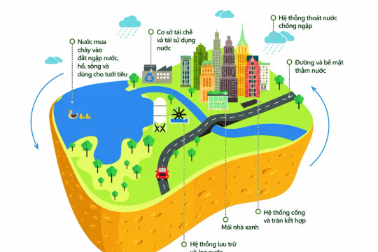 Sở Xây dựng nói về kế hoạch 'thành phố bọt biển' chống ngập, khu vực nào Hà Nội sẽ làm trước?