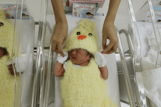 Phát hiện đường dây làm giả giấy khai sinh cho 164 trẻ sơ sinh Trung Quốc, gây thiệt hại gần 3.800 tỷ đồng