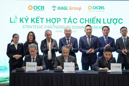 Công ty chứng khoán là đối tác của HAGL vừa báo lãi quý II/2026 tăng hơn 4.000%