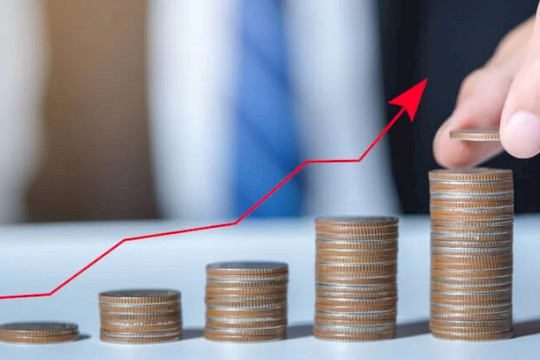 Công ty vỏn vẹn 7 lao động báo lãi quý II/2026 gấp 5 lần, làm ra hơn 1.100 tỷ đồng lợi nhuận sau 2 năm