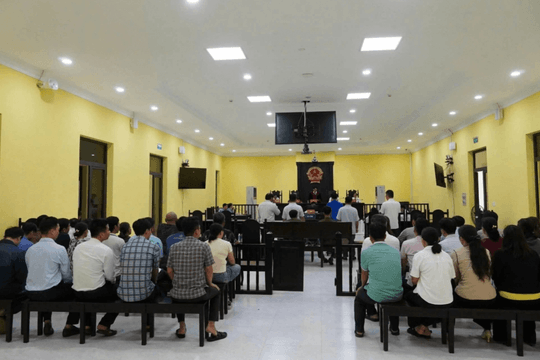Tuyên phạt hơn 53 năm tù đối với cựu Phó Chi cục trưởng Nguyễn Việt Triều và 5 đồng phạm