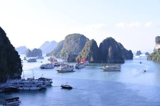 Hơn 524 triệu USD vốn Hàn Quốc đổ vào một tỉnh, trọng tâm là công nghiệp chế biến