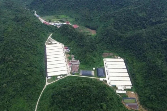 Dabaco (DBC) thăm hỏi gia đình và người lao động sau vụ tai nạn tại Thanh Hóa