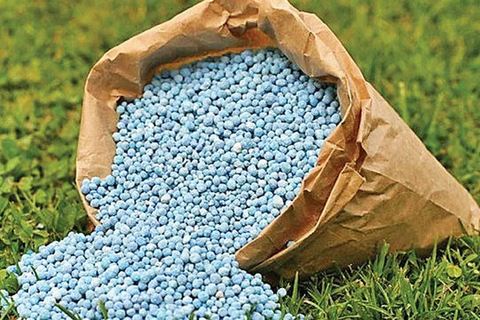 Khởi tố Chủ tịch Công ty Phân bón Hà Bắc, thu giữ 65 tấn phân bón giả