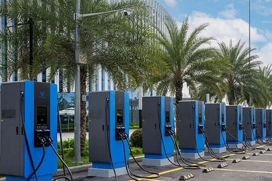 V-Green phát cảnh báo mới, cho biết đã trình báo Công an