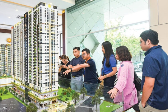 Đề xuất bổ sung chính sách điều tiết chênh lệch địa tô, áp thuế cao với đất bỏ hoang, mua bán ngắn hạn