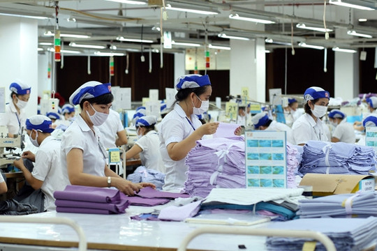 Đại gia dệt may TP. HCM từng kiếm hơn 1.000 tỷ đồng/năm nay mất sạch đơn hàng, phải chuyển hướng sang làm tiệc cưới