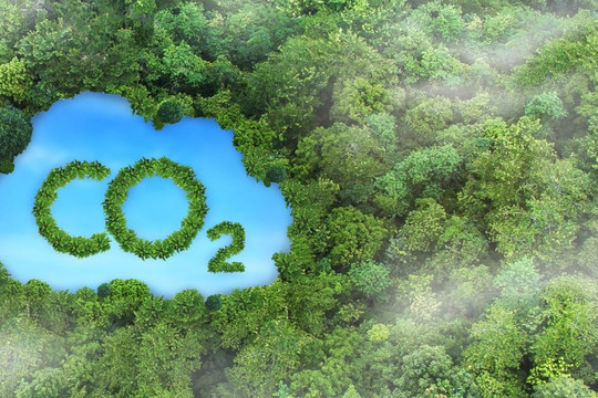 Doanh nghiệp Việt sẵn sàng bán hàng triệu tín chỉ carbon ra nước ngoài