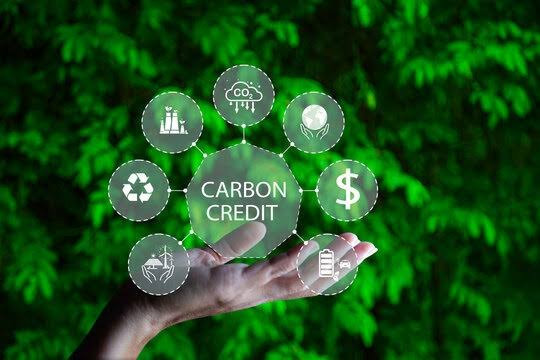 Từ khí thải thành tài sản: Tín chỉ carbon mở ra cuộc chơi mới cho doanh nghiệp Việt