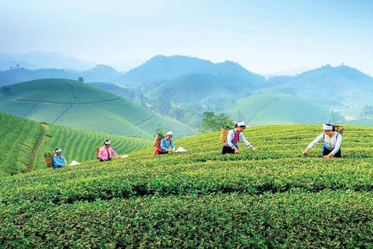 Một tỉnh GRDP tăng 10,01%, bất ngờ lọt top 10 địa phương tăng trưởng cao nhất cả nước