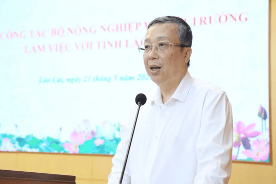 Khai trừ Đảng đối với Thứ trưởng Bộ Nông nghiệp và Môi trường Hoàng Trung