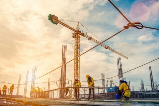 Loạt cổ phiếu xây dựng VCG, FCN... biến động ra sao sau kết luận thanh tra dự án sân bay Long Thành?