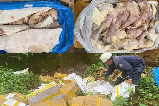 Phát hiện gần 1 tấn thịt heo, đùi gà bốc mùi trong kho đông lạnh, chủ cơ sở không xuất trình được giấy tờ