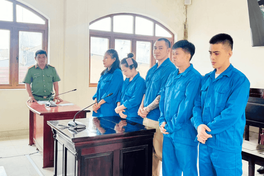 Tuyên án 72 năm tù đối với Nguyễn Vũ Sao Mai 26 tuổi và đồng phạm