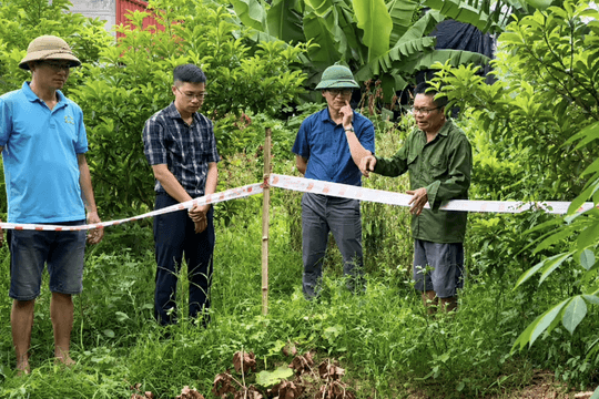Xuất hiện hố ‘tử thần’ ở Ninh Bình, khuyến cáo người dân sơ tán