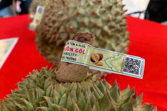Một loại quả đặc sản của Việt Nam 'làm mưa làm gió' tại quốc gia đông dân nhất thế giới