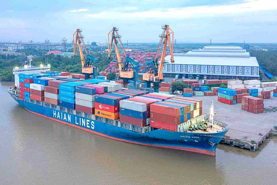 Viconship (VSC) báo lãi kỷ lục, đầu tư gần 2.500 tỷ vào HAH
