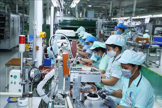 Doanh nghiệp gia nhập thị trường vượt số rút lui trong 7 tháng đầu năm