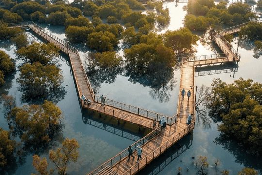 Lần đầu tiên Việt Nam có công viên câu cá rừng ngập mặn lớn nhất thế giới, quy mô gấp 45 lần sân Mỹ Đình
