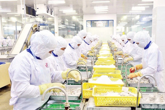 Nhiều mặt hàng tỷ đô giảm tốc, đâu là 'cứu tinh' của xuất khẩu nông sản Việt?