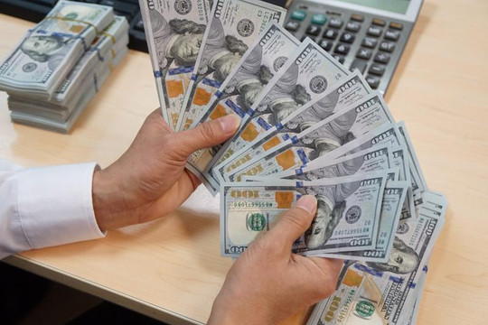 Tỷ giá hôm nay 6/8: USD ngân hàng giảm giá, tỷ giá trung tâm tăng thêm 28 đồng